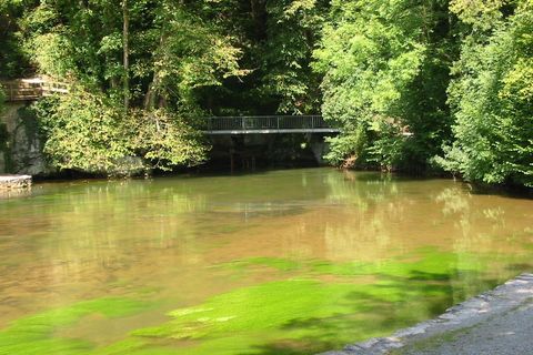 Der Aachtopf der Aachquelle mit grün schimmerndem Wasser und Fußgängerbrücke im Hintergrund