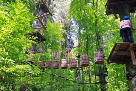 AbenteuerParks Immenstaad und Kressbronn. Der Kletterpark befindet sich mitten im Wald, umsäumt von Bäumen. Eine Frau mit einem blauen Helm steht auf einer Plattform und macht sich bereit zum Klettern. Ein Mann, ebenfalls mit blauem Helm, läuft bereits üb