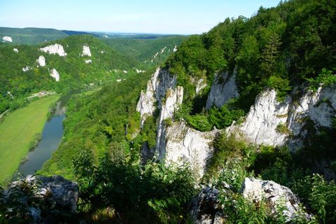 Blick vom Lenzenfelsen im Naturpark "Obere Donau" hinab ins Donautal mit der Donau (©Haus der Natur)