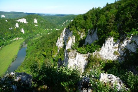 Blick vom Lenzenfelsen im Naturpark "Obere Donau" hinab ins Donautal mit der Donau (©Haus der Natur)