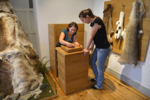 Archäologisches Hegau-Museum (© Stadt Singen / Hegau-Museum)