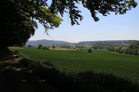 Aussicht von der Mehlau in die freie Landschaft mit Wiesen und Äckern sowie dem Wald in weiterer Ferne