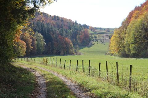 Wasserburgertalweg 