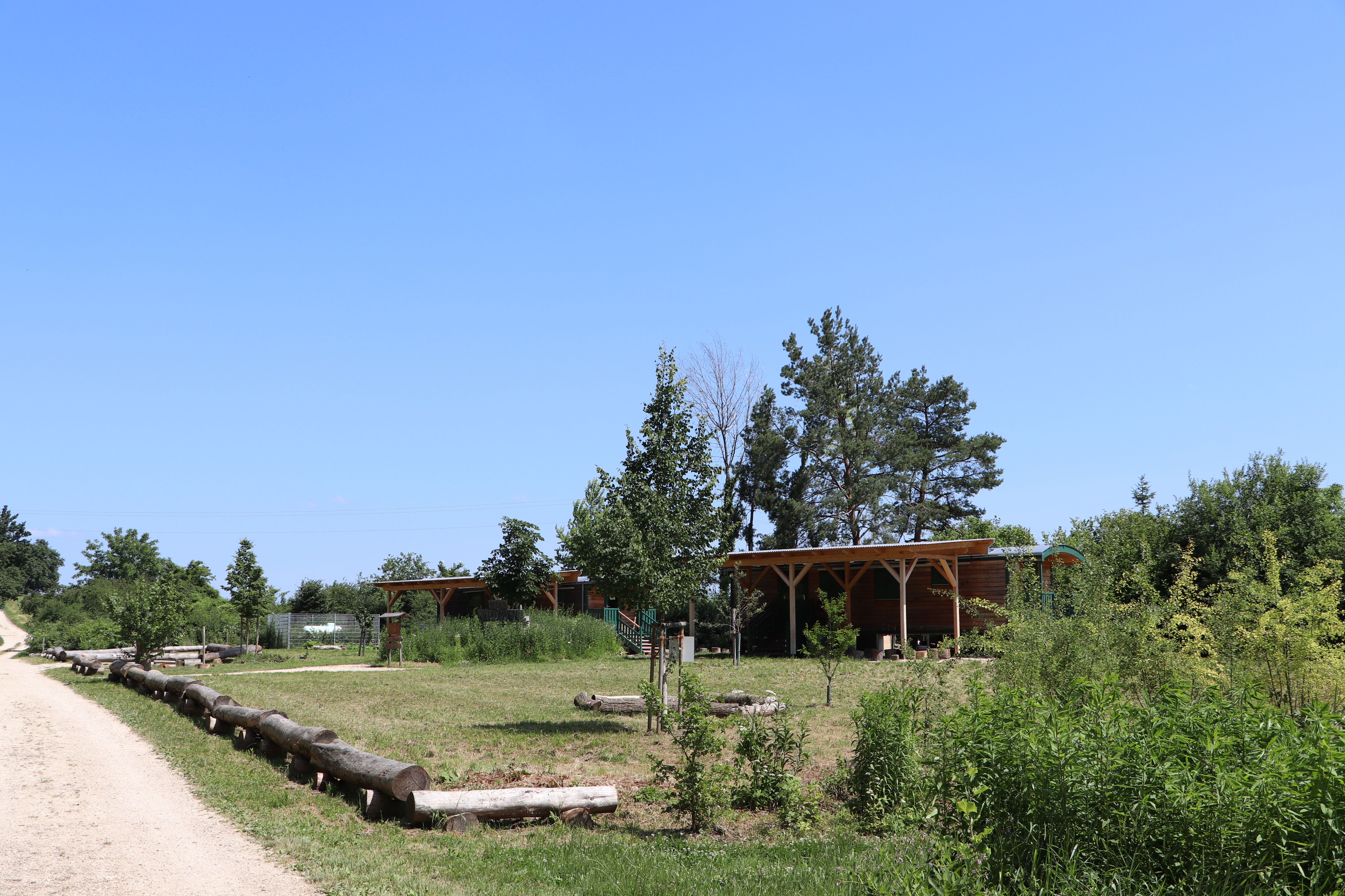 Gelände des Waldkindergarten