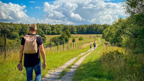 Wanderer durch eine waldgesäumte Wiese